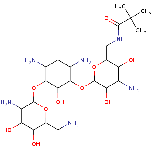 PNG