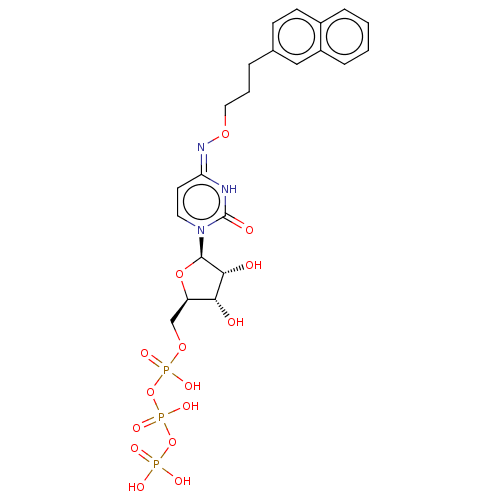 PNG