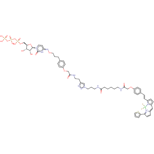 PNG