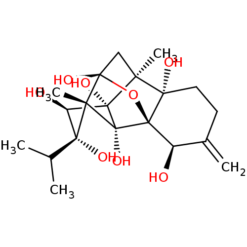 PNG