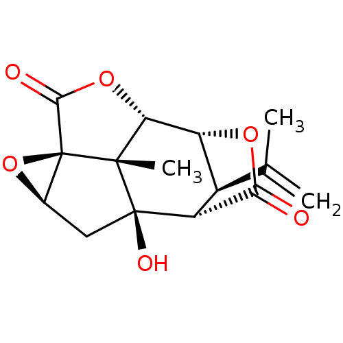 PNG