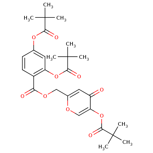 PNG