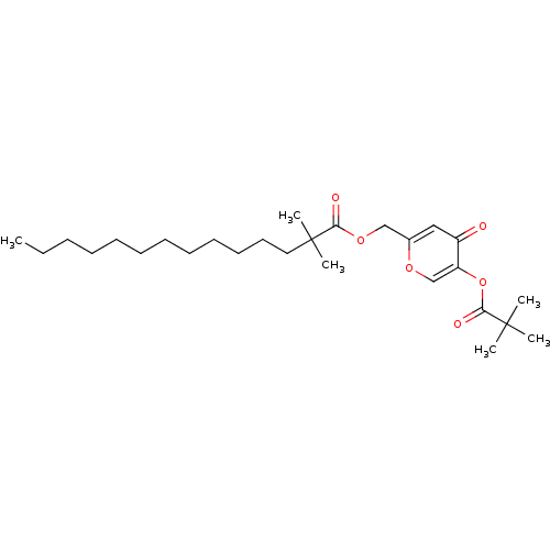 PNG