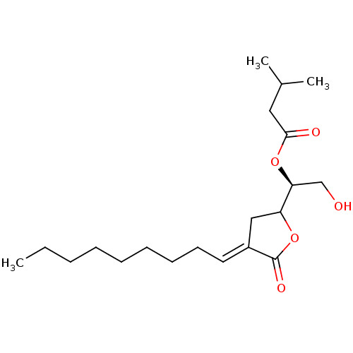 PNG