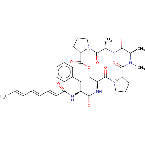 PNG