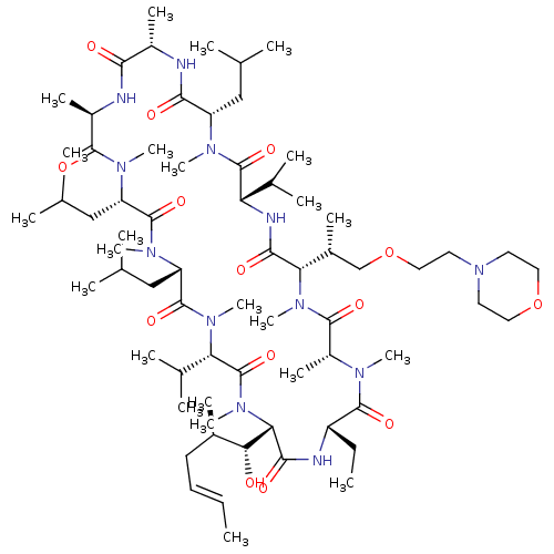 PNG