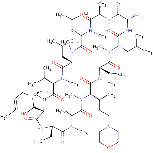 PNG