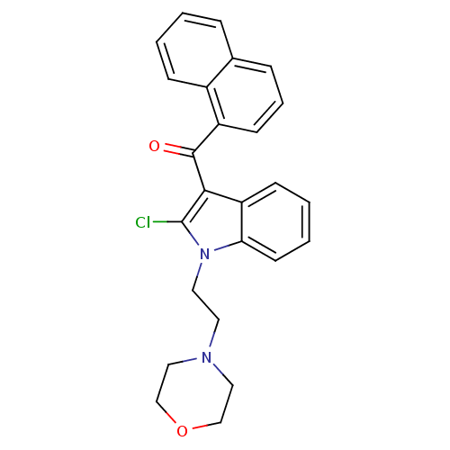 PNG