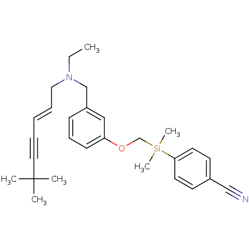 PNG