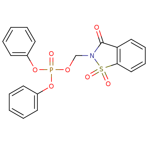 PNG