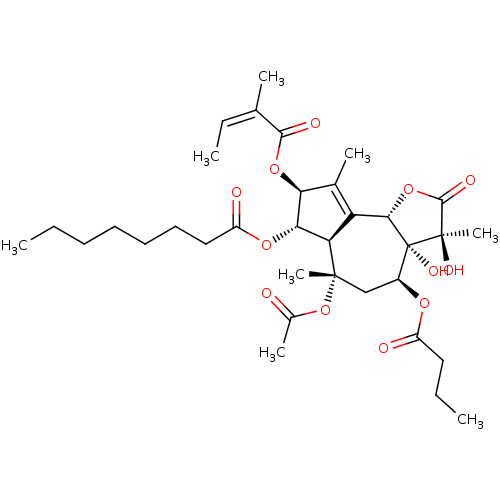 PNG