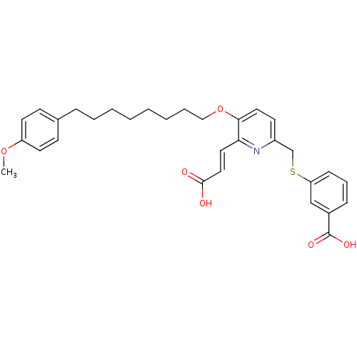 PNG