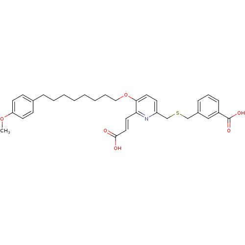 PNG