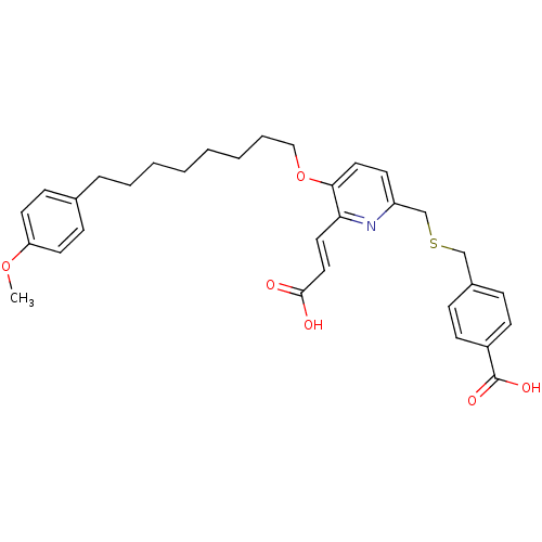 PNG