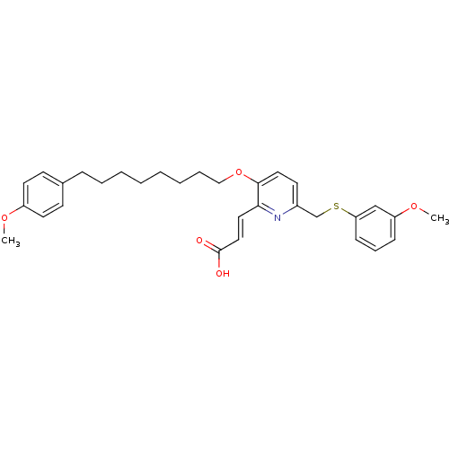 PNG