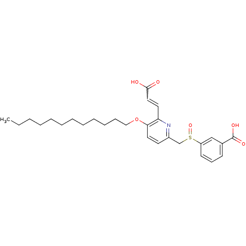 PNG