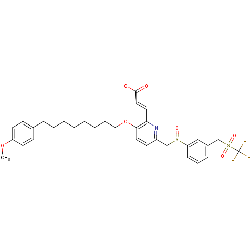 PNG