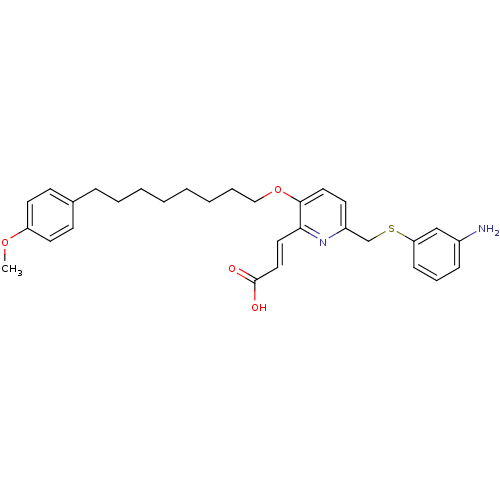 PNG