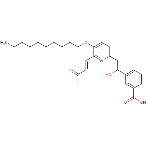 PNG