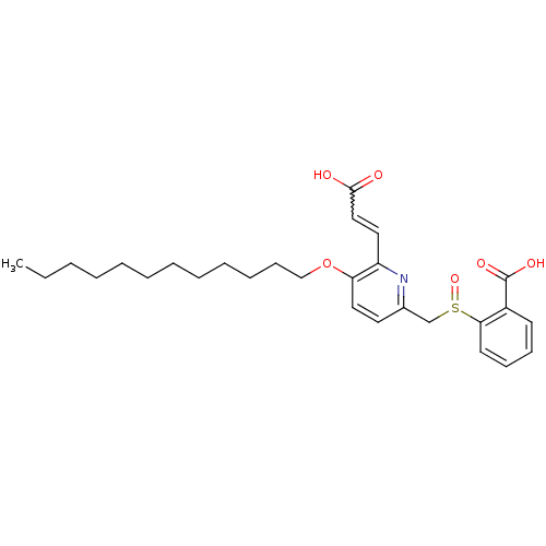 PNG