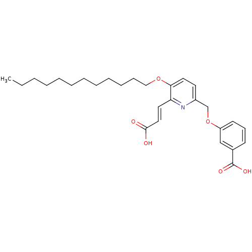 PNG