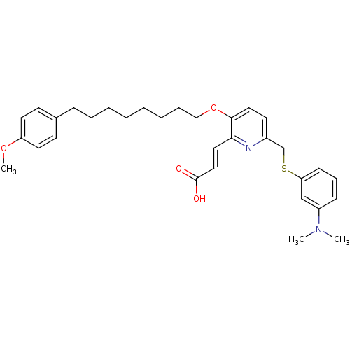 PNG