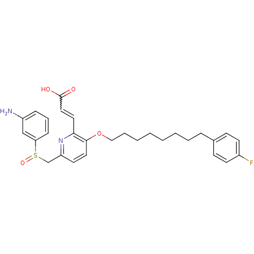 PNG