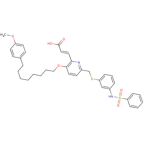 PNG