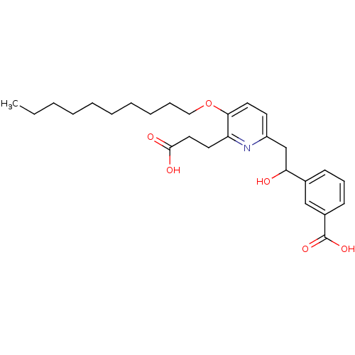 PNG