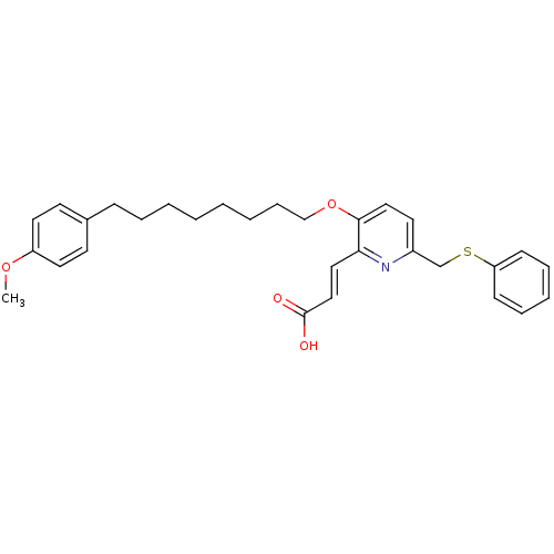 PNG