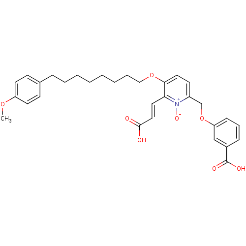 PNG