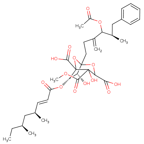 PNG