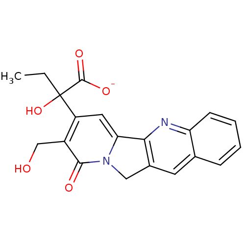 PNG