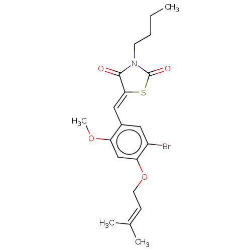 PNG