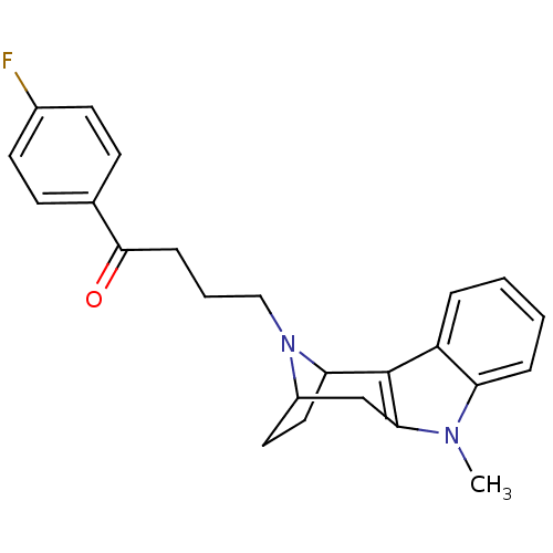PNG