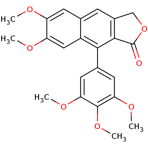PNG