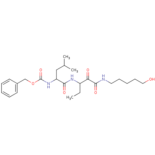 PNG