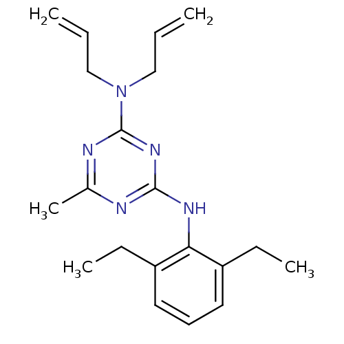 PNG