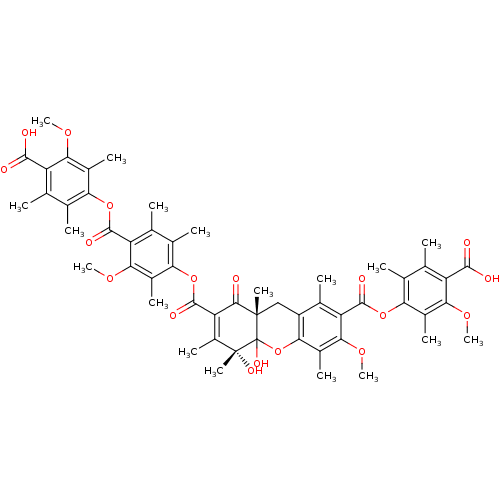 PNG