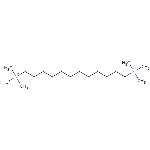 PNG