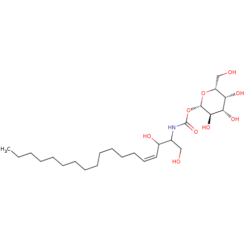 PNG