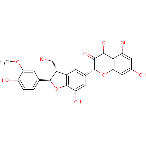 PNG