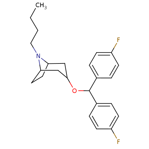 PNG