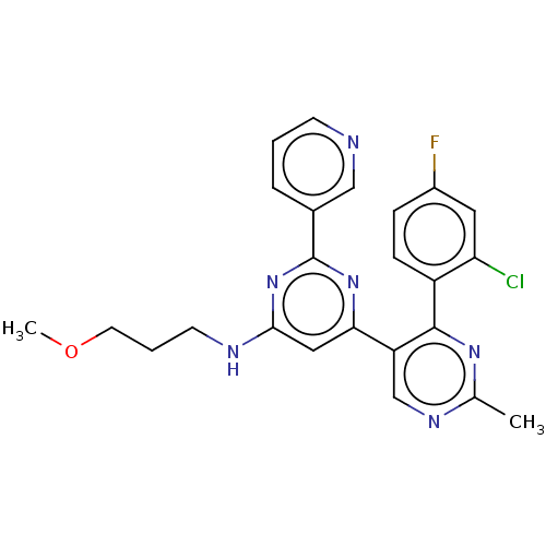 PNG
