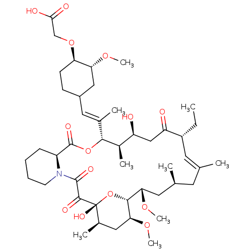 PNG