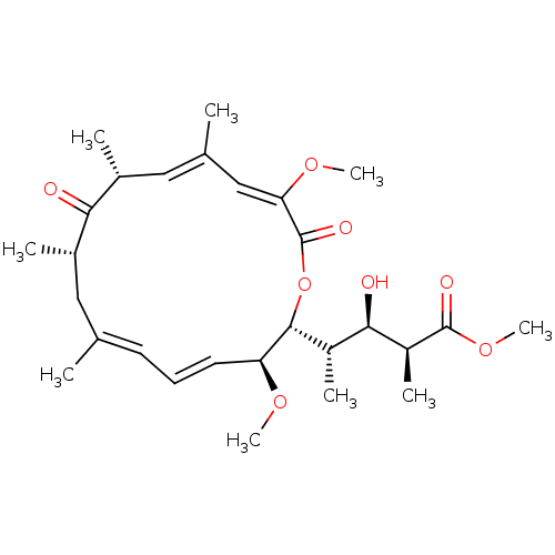 PNG