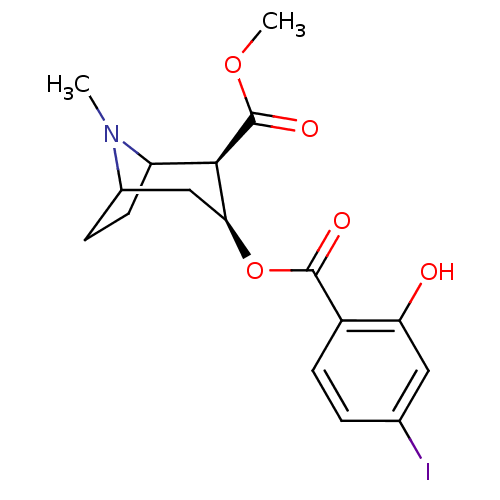 PNG