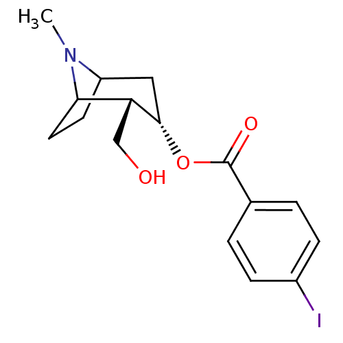 PNG