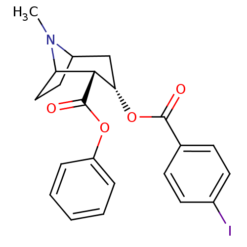 PNG