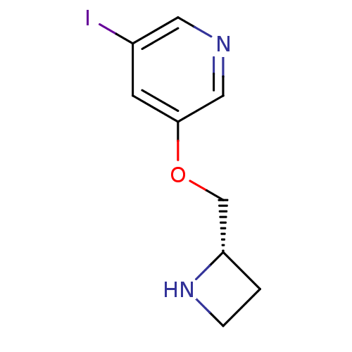 PNG